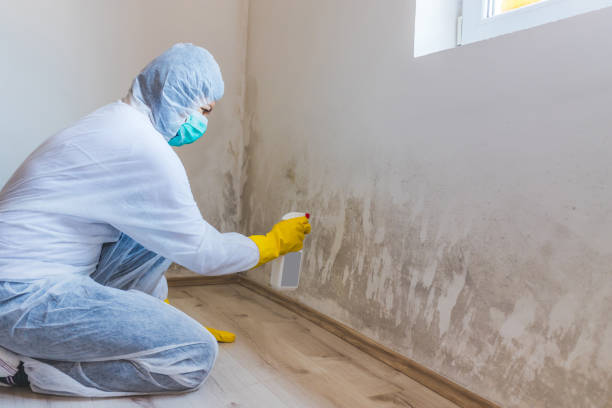 Mold Remediation specialist working in Zuni